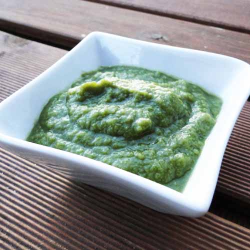 Purée de haricots verts sucrée / salée